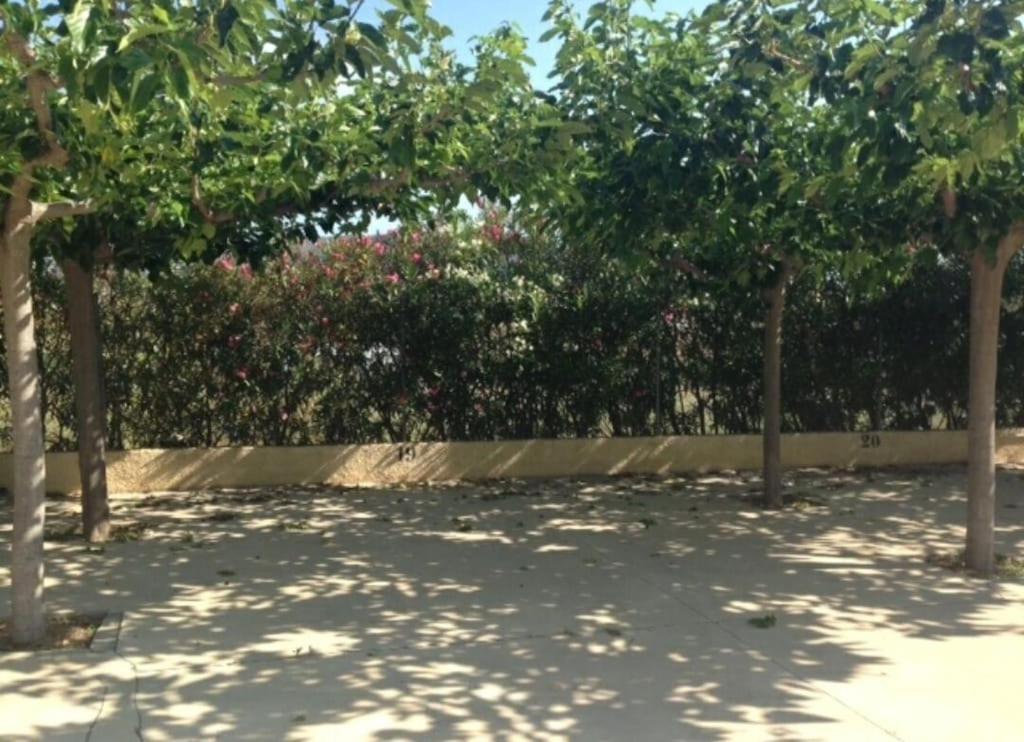 House With Pool / Garden / Bbq Vakantiehuis Tarragona